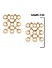 White Pearls Gold Plated Square Stud Earring