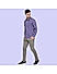 Tyrian Purple Checkered Cotton Shirt