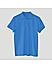 Solids: Royal Blue Polo