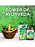 Dabur Amla Tablet - (60 + 20 free)