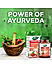 Dabur Ashwagandha Tablets - 60 N