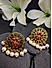 Ruby Pearls Gold Plated Floral Drop Earring