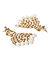 Gold Toned Contemporary Ethnic Traditional Drop Earrings For Women