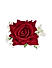 Fida Ethinic Red Rose & White baby Flower Hair Clip For Women