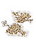 White Pearls Kundan Gold Plated Floral Crescent Jewelelry Set