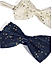 White and Navy Bow Clip Set