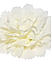 Off-White Embellished Flower Alligator Hair Clip