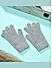 Grey Touchscreen Enabled Winter Gloves