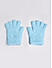 Blue Touchscreen Enabled Winter Gloves