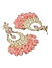 Fida Ethnic Gold Plated Enamel Pink beads & Kundan Studded Chandbali Earrings For Women