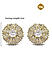 Fida  Luxurious Gold Plated  American Diamond Stud Earring for Women