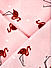 Brocode Classic Mens  Pastel  Pink Flamingo Paradise Print Pocket Square