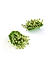 Olive Green Beaded Boho Stud Earring