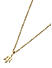 The Bro Code Gold Plated Thrishul Pendant Necklace for Men