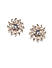 Gold-Plated Floral Cyrena Cz Studs