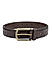 Brown Mat Embossed Men's Belt