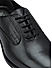 Black Signato Leather Lace Ups