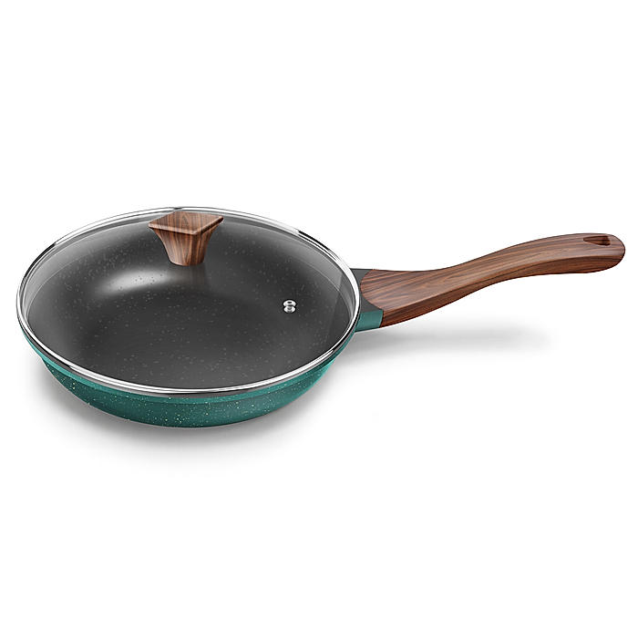 Preethi Artistic Collection Die Cast Non Stick Fry Pan, 24 cm ,With Glass Lid, 5 Star Non Stick Effect, Cook & Serve, Ocean Green