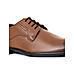 British Walkers Brown Leather Formal Derby Shoe for Men (1915134)