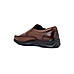 British Walkers Brown Leather Formal Slip On Shoe for Men (5053114)