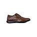 British Walkers Brown Leather Formal Derby Shoe for Men (3592524)