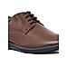 British Walkers Brown Leather Formal Derby Shoe for Men (3592524)