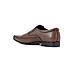 British Walkers Brown Leather Formal Slip On Shoe for Men (3592454)