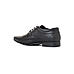 British Walkers Black Leather Formal Derby Shoe for Men (3592486)