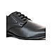 British Walkers Black Leather Formal Derby Shoe for Men (5406836)