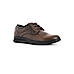 British Walkers Brown Leather Formal Derby Shoe for Men (7110044)