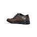 British Walkers Brown Leather Formal Derby Shoe for Men (7110044)