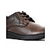 British Walkers Brown Leather Formal Derby Shoe for Men (7110044)