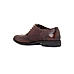 British Walkers Brown Leather Formal Oxford Brogue Shoe for Men (5800284)