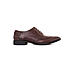 British Walkers Brown Leather Formal Oxford Brogue Shoe for Men (5800284)