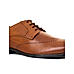 British Walkers Brown Leather Formal Derby Brogue Shoe for Men (5800293)