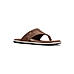 British Walkers Brown Leather Flip Flops for Men (9466413)