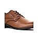 British Walkers Brown Leather Formal Derby Shoe for Men (5406834)