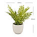 Green Faux Boston Fern with Cement Pot