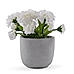 White Faux Carnation with Cement Pot