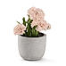 Light Pink Faux Carnation with Cement Pot