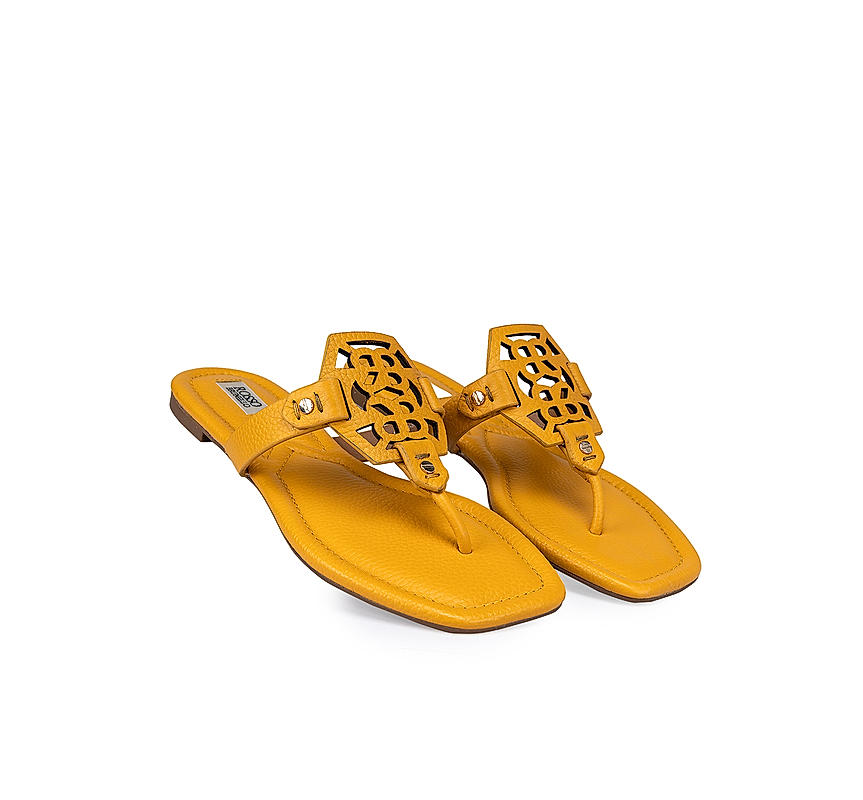 Mustard Logo Sliders