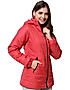 KOTTY Women Nylon Tomato Red Solid Puffer Jacket