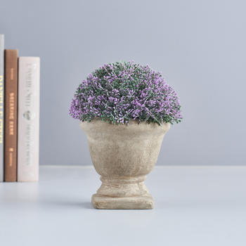 Small Potted Green Plant with Purple Flowers