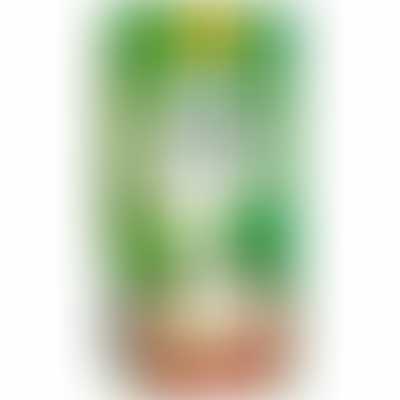 Matka Jhatka Chaas (Pack Of 15)
