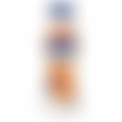Butter Scotch Milk (Pack of 12)