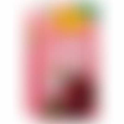 Litchi Drink (Pack of 20)