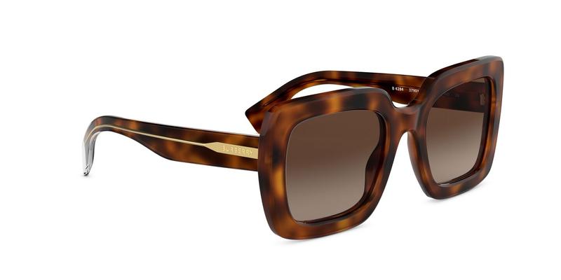 Burberry brown Gradient Sunglasses