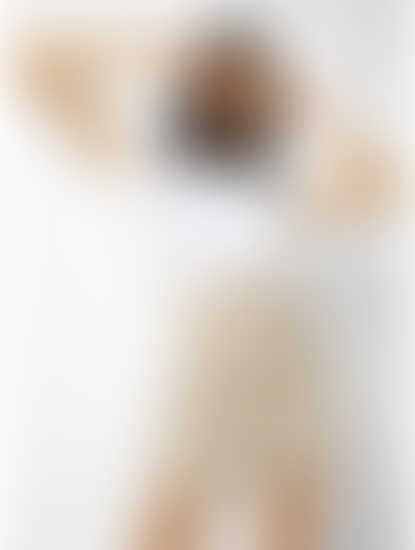 Beige A-Line Skirt