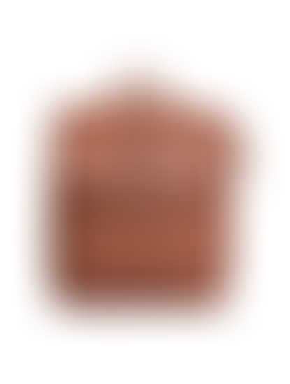 Khadim Brown Backpack for Women