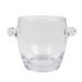   Florence Glass Ice Bucket